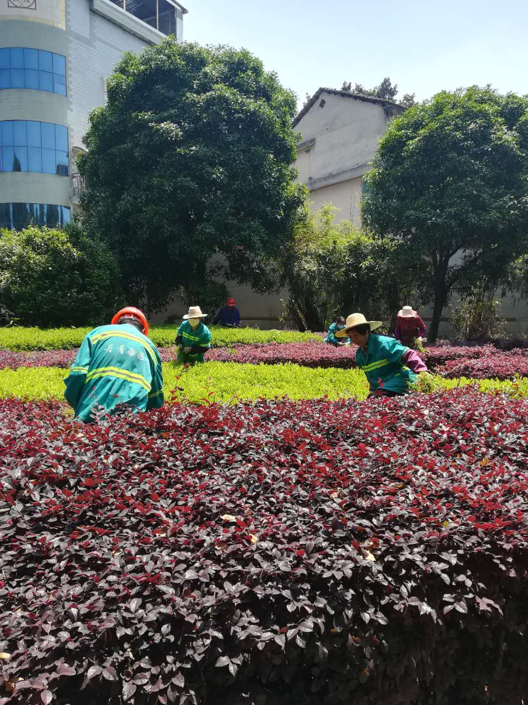 yL23411永利集团官网登录