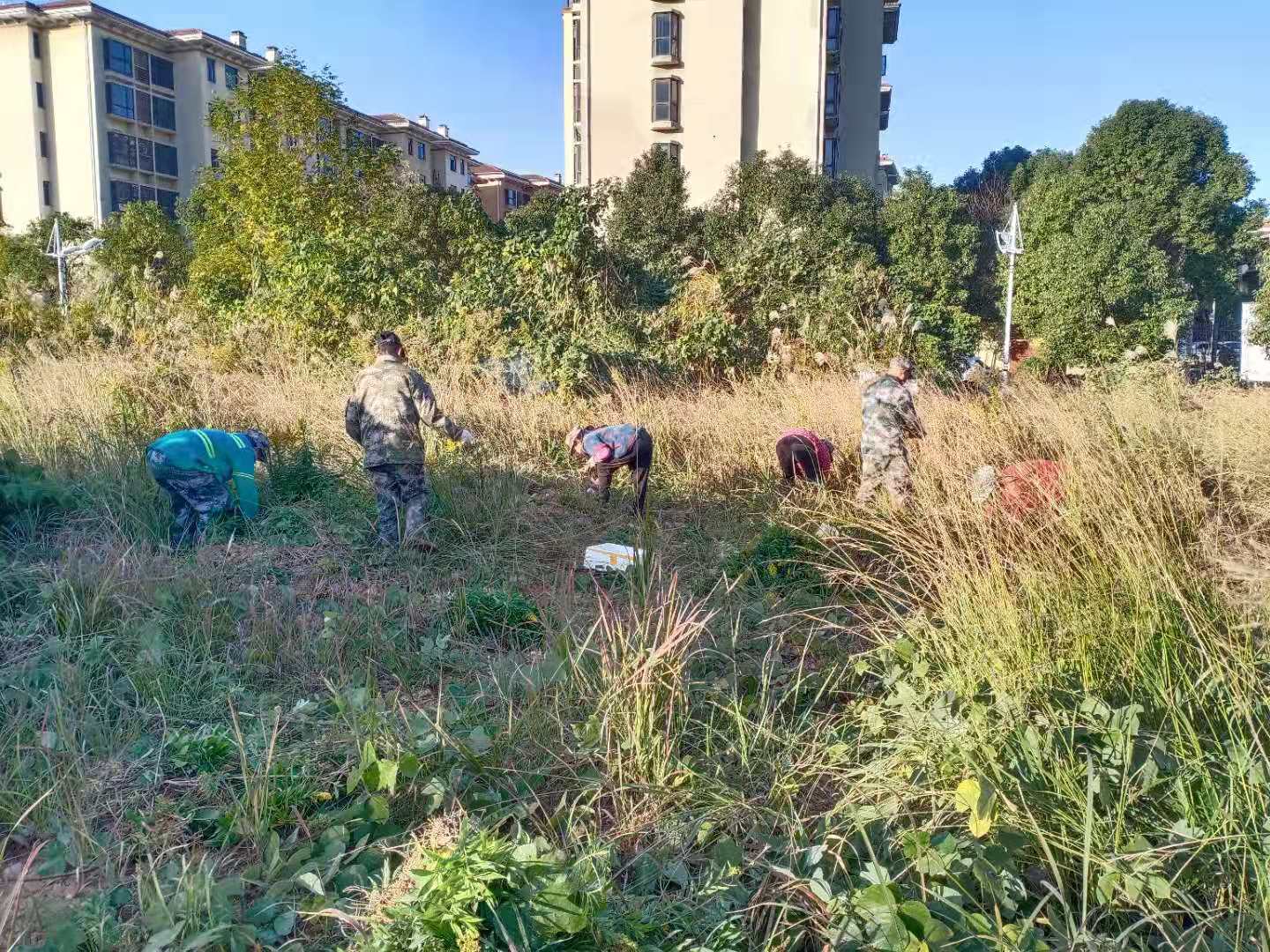 yL23411永利集团官网登录